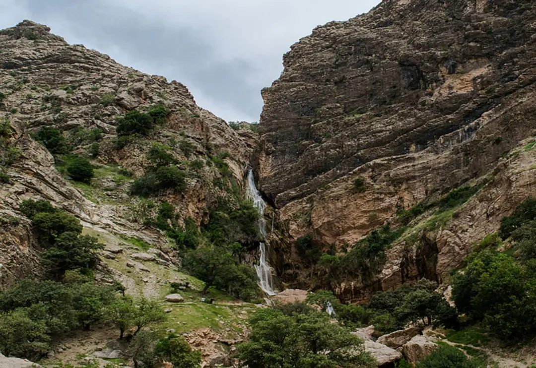 ابشار نوژیان