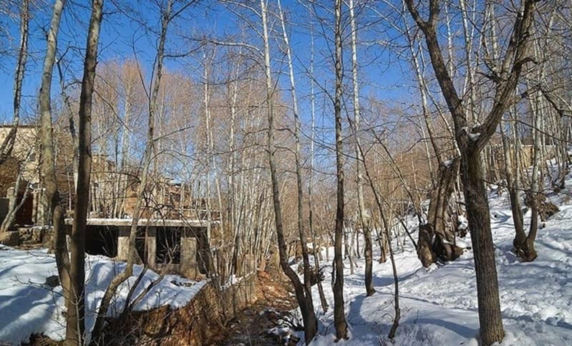 مناظر زمستانی در قلات شیراز