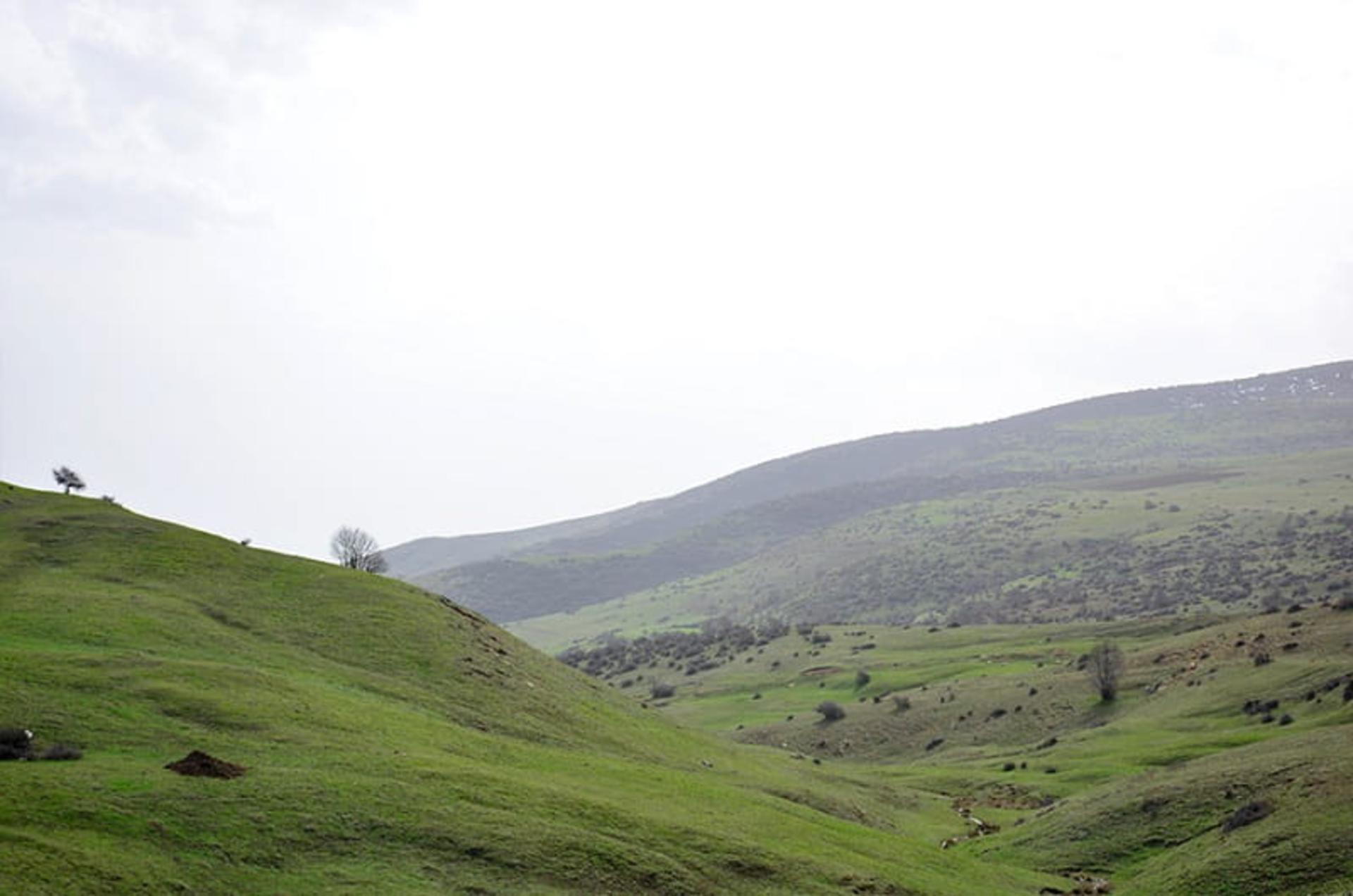 طبیعت داماش