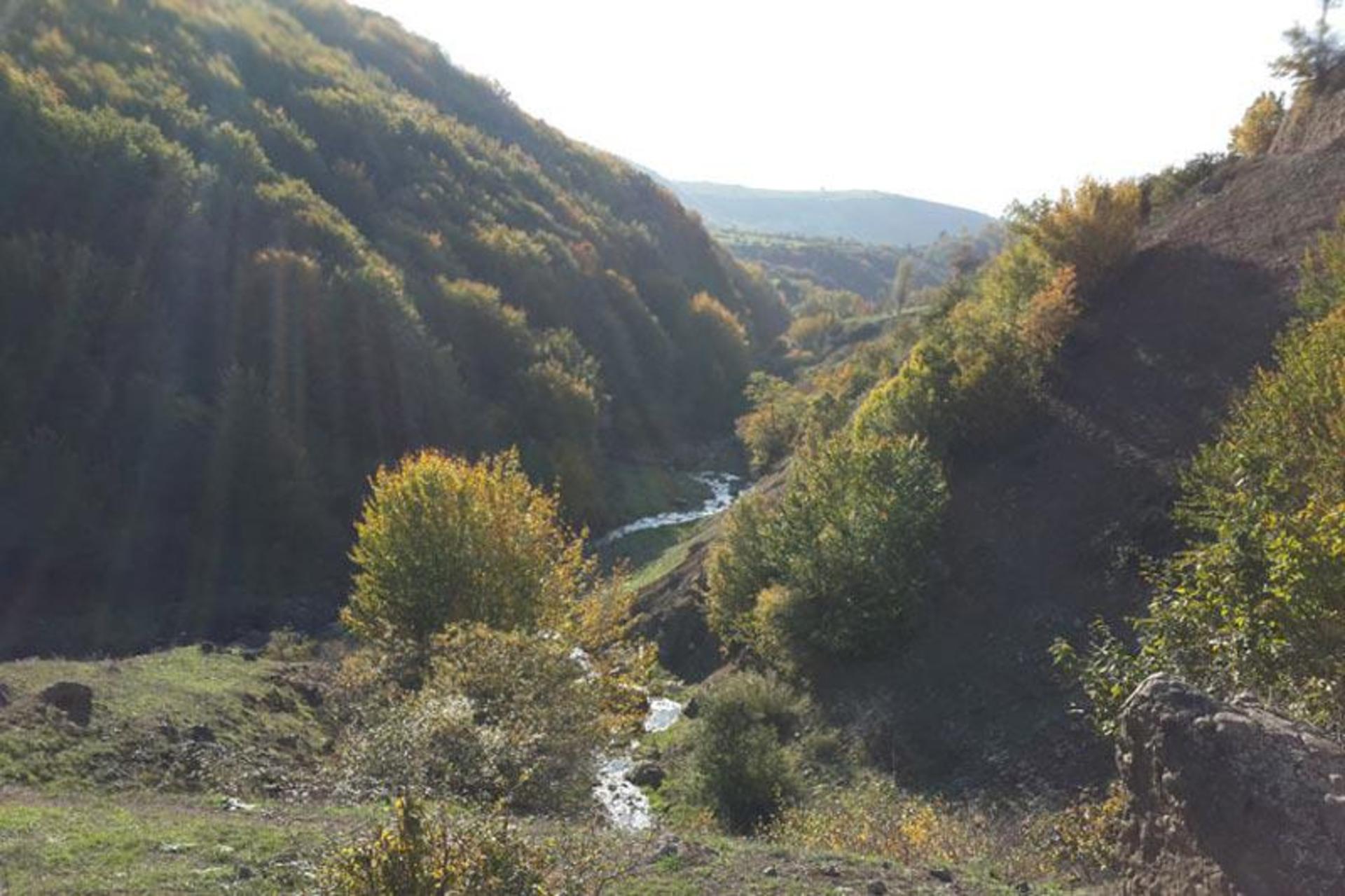 مسیر دسترسی به داماش