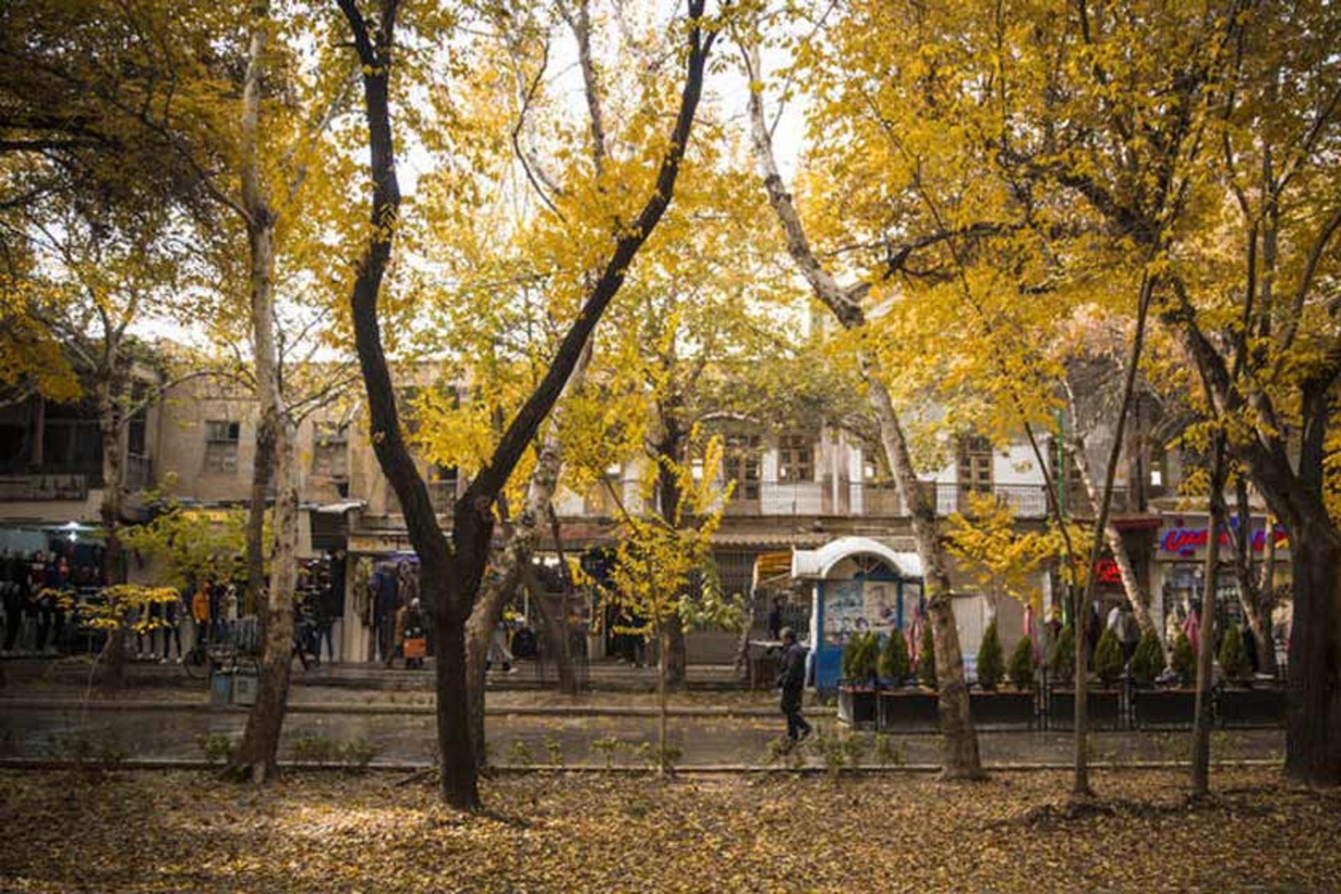 مغازه‌های خیابان چهارباغ عباسی 
