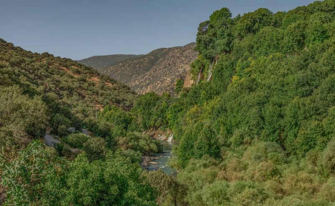 ابشار بیشه