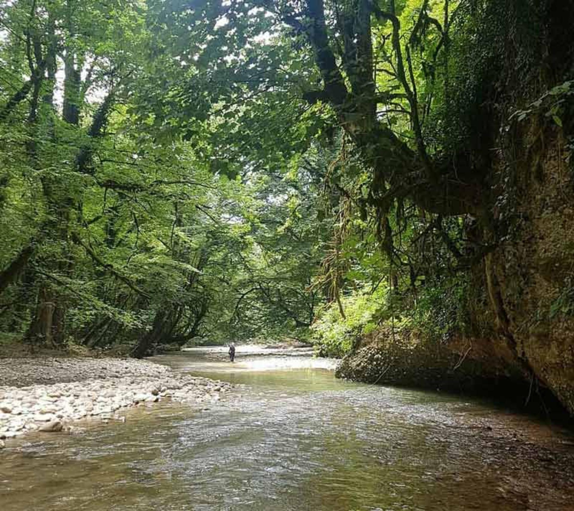 عبور گردشگر از میان رودخانه پلنگ دره سوادکوه