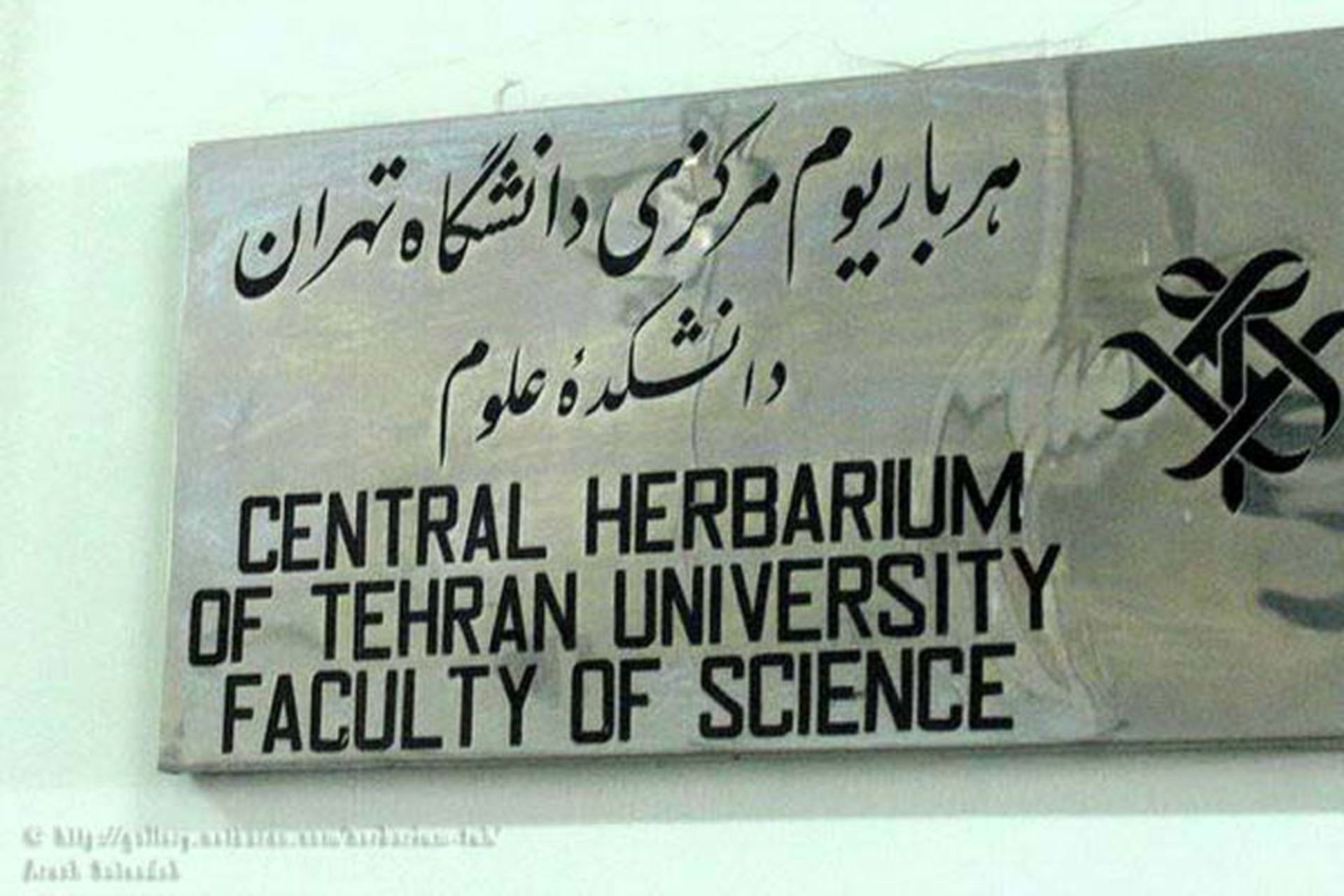 هرباریوم مرکزی دانشگاه تهران
