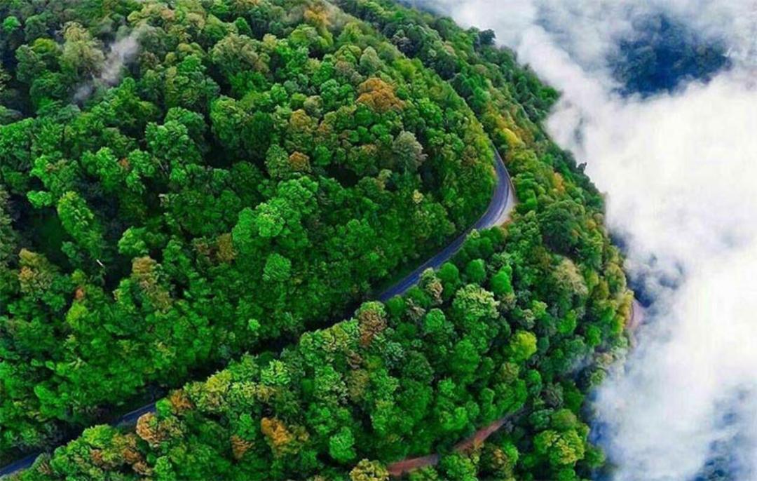 جاده اسالم به خلخال در میان جنگل های انبوه از نمای بالا