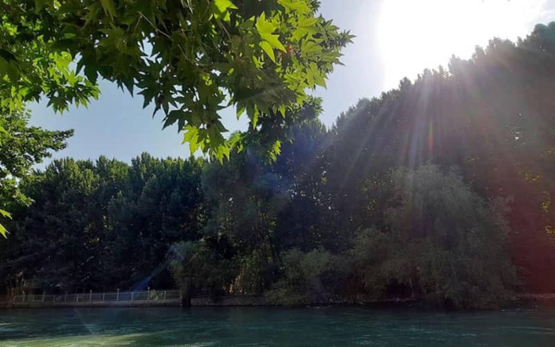 محیط سرسبز و رودخانه در باغ بهادران