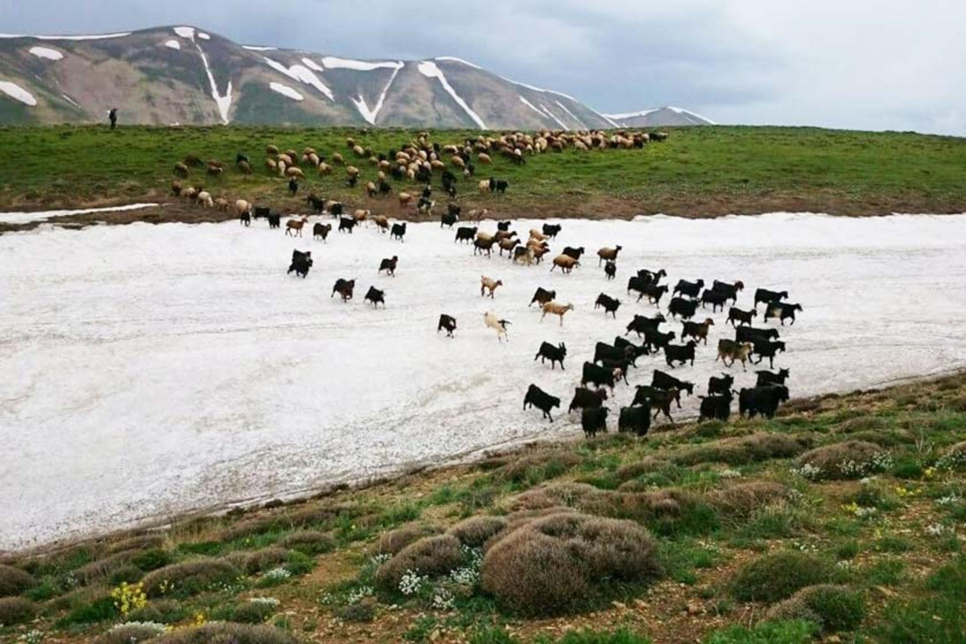 روستای گردشگری لرد