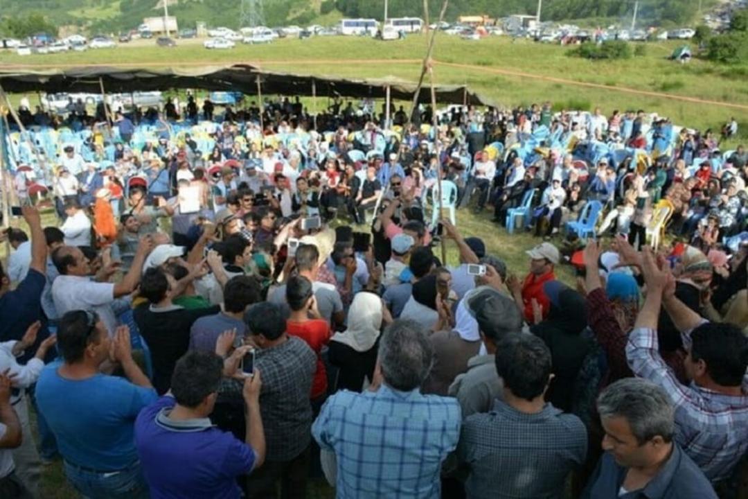 جشنواره سوسن چلچراغ