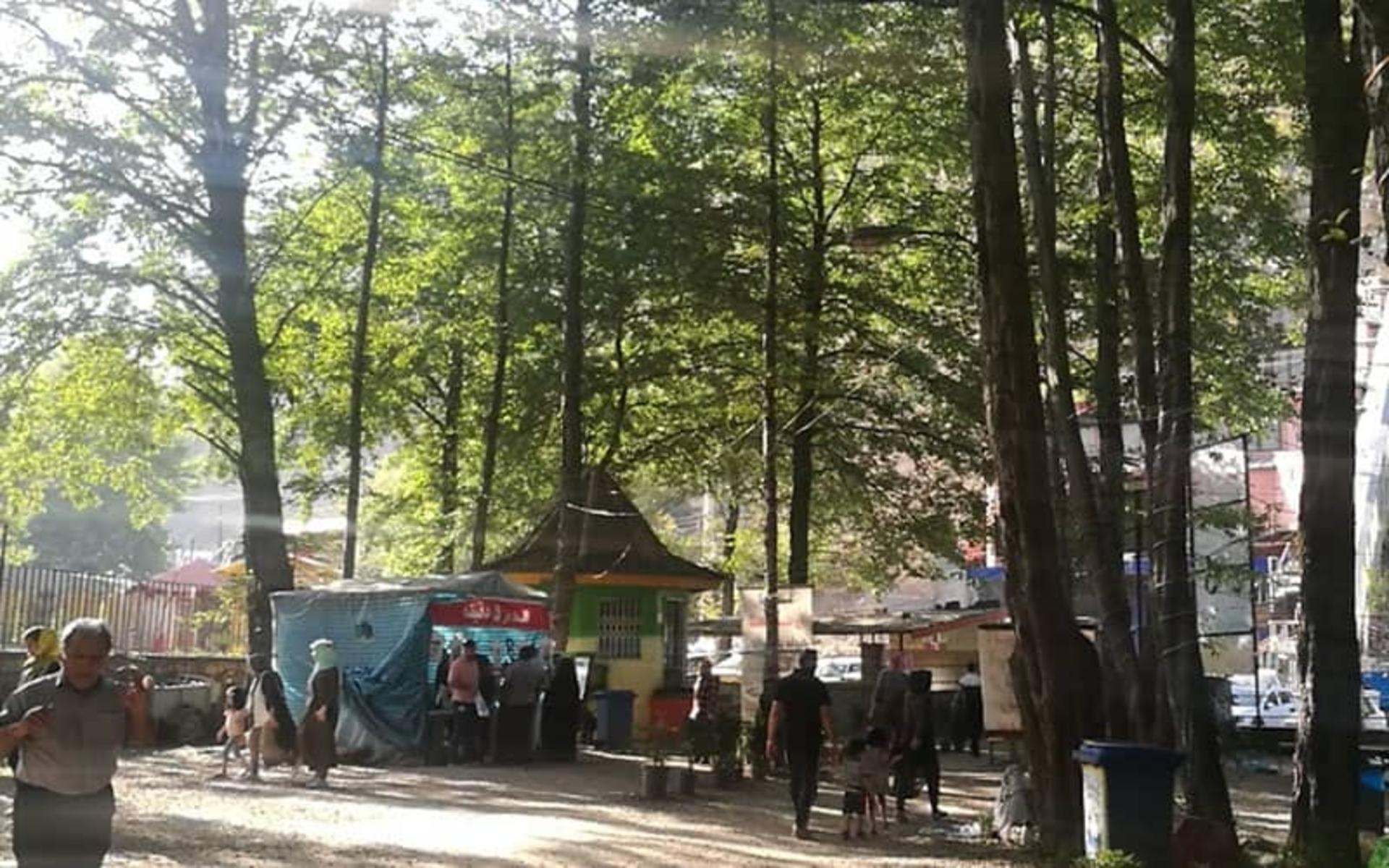 حضور گردشگران در جنگل رودبارک
