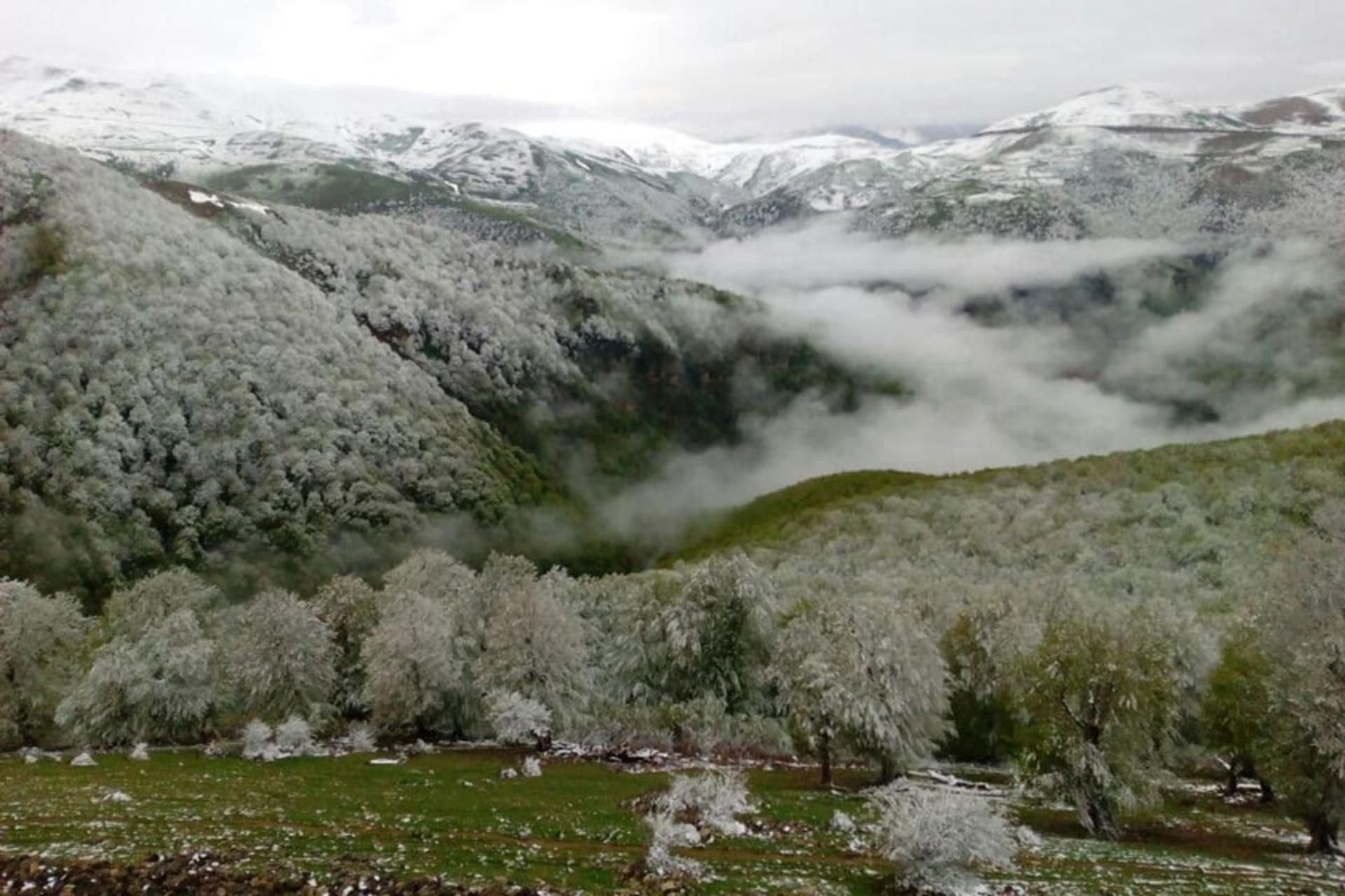 روستای گردشگری لرد