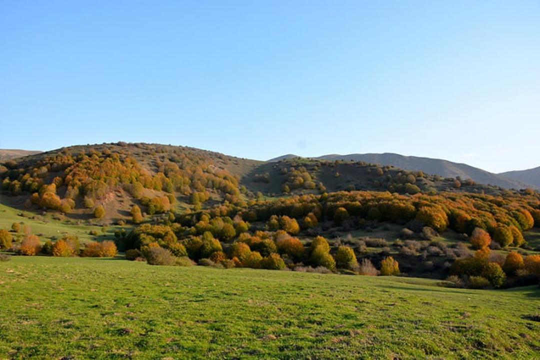 روستای داماش رودبار