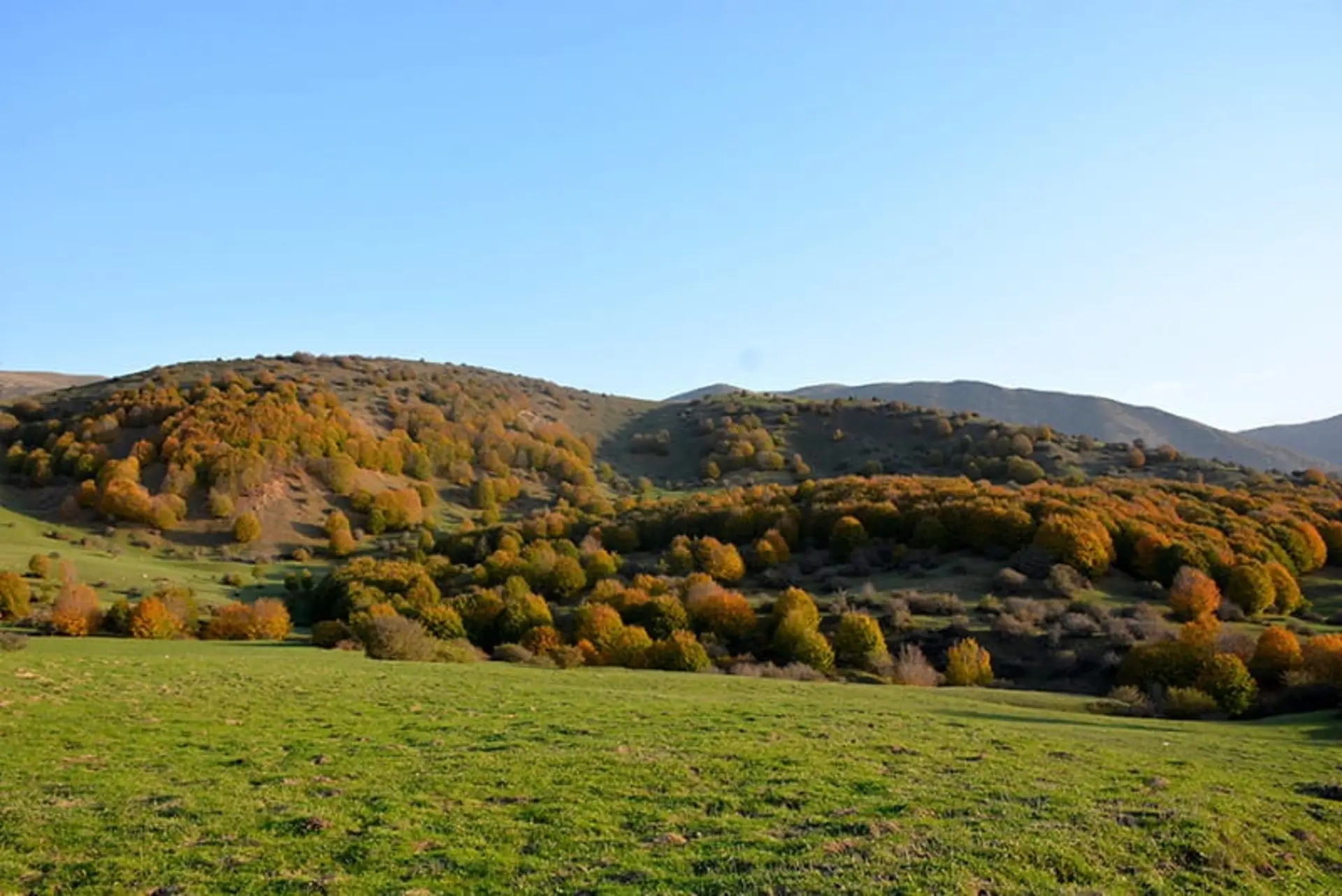 روستای داماش رودبار