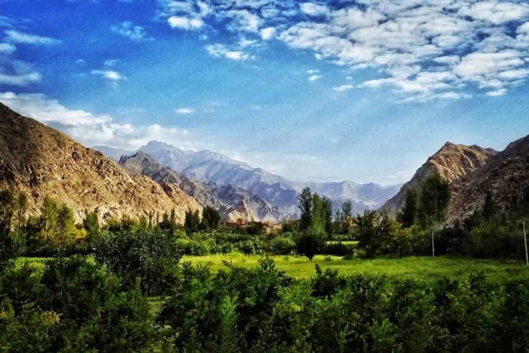 چشم انداز طبیعت سرسبز پارک ملی کنتال