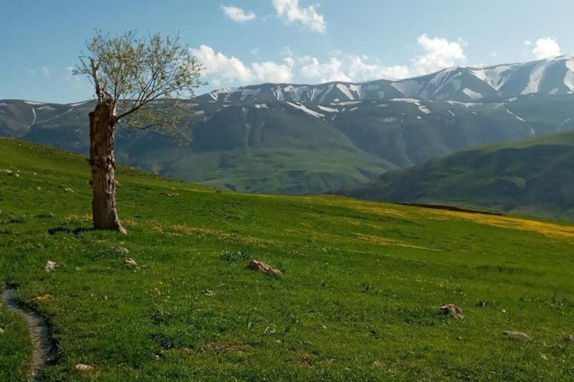 روستای گردشگری لرد