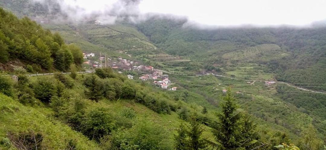 پوشش گیاهی جواهرده