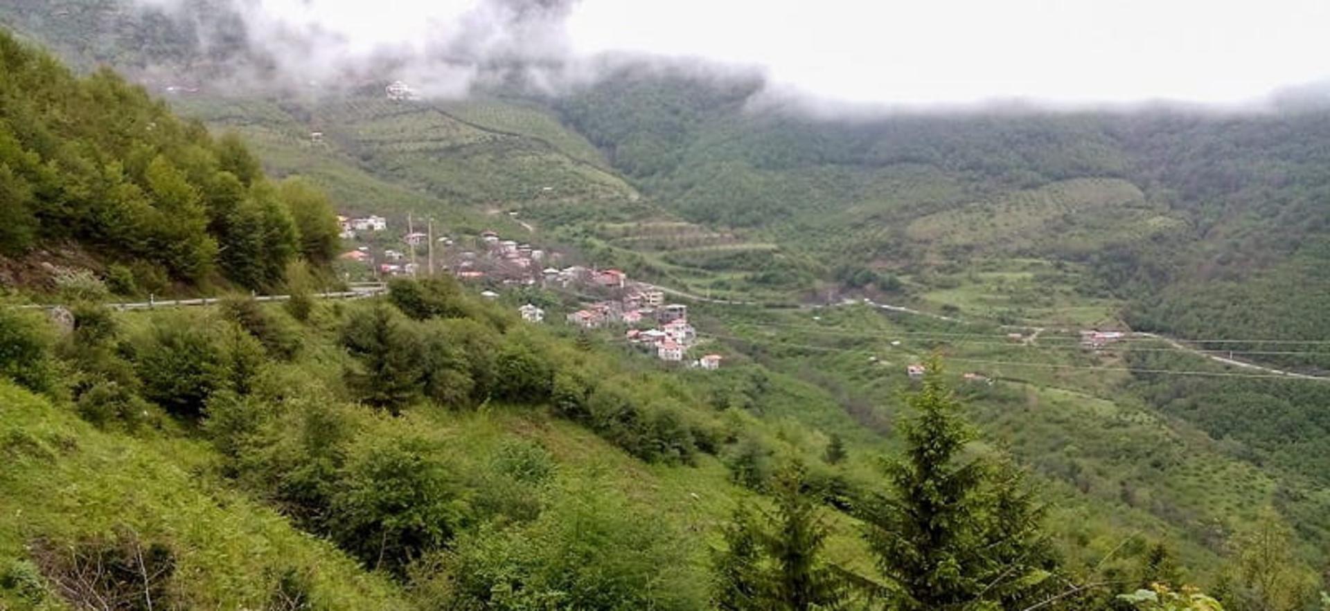 پوشش گیاهی جواهرده