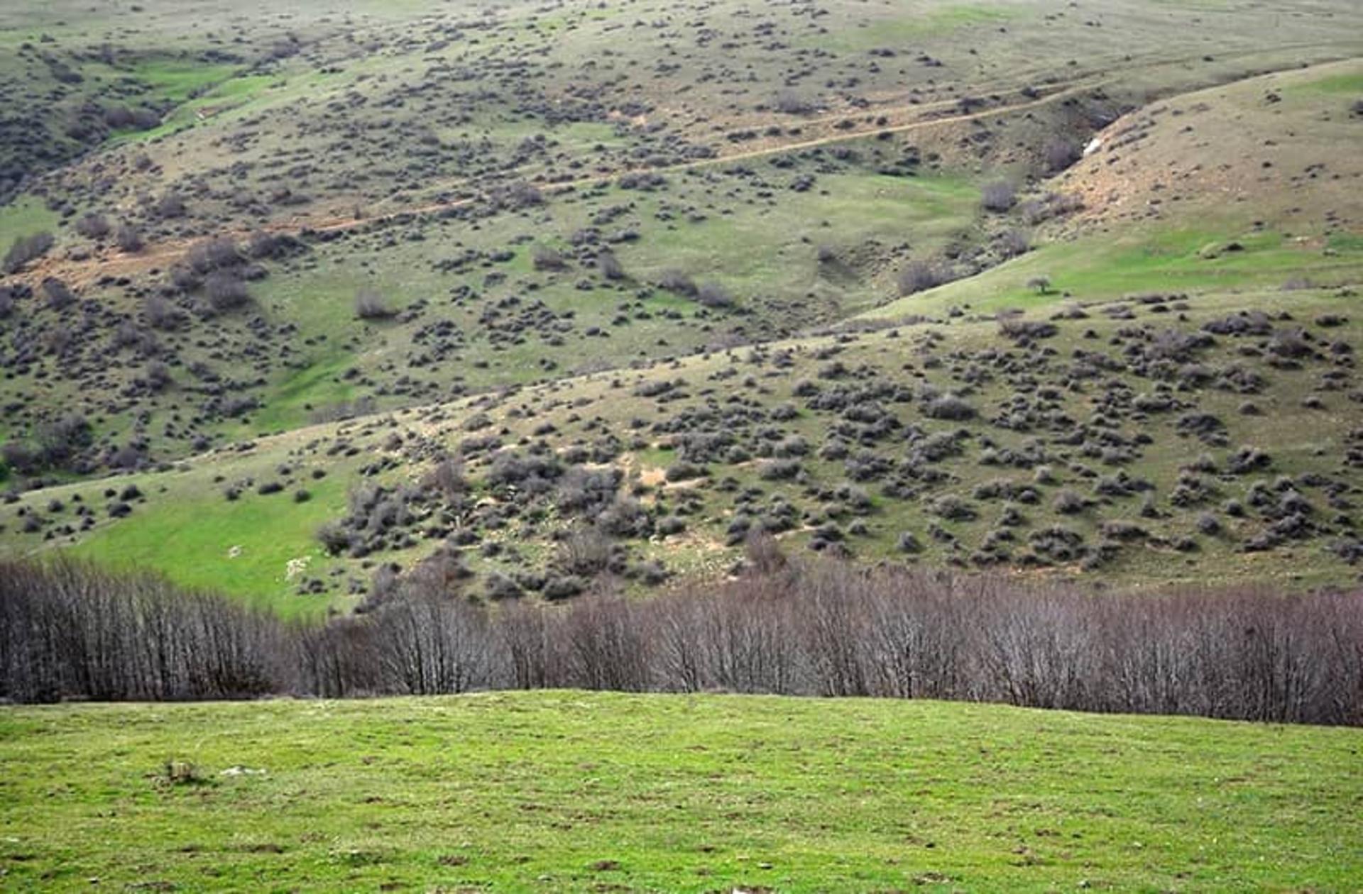 چشم انداز زیبا در داماش