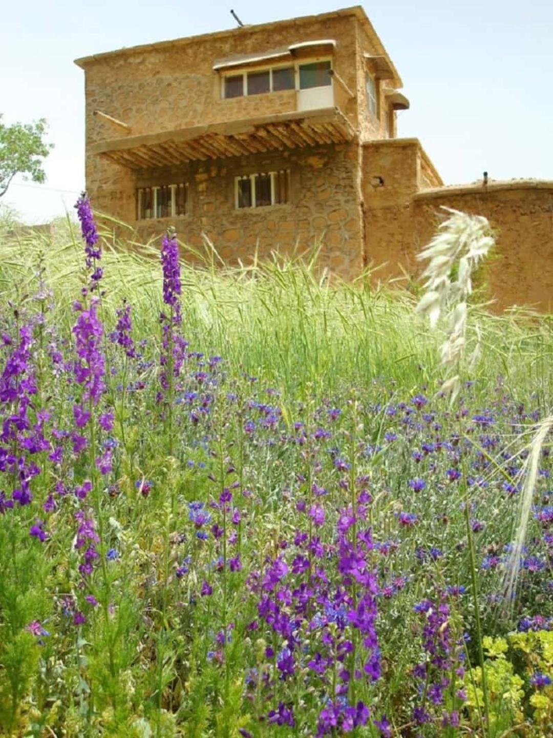 پیاده روی در روستای قلات
