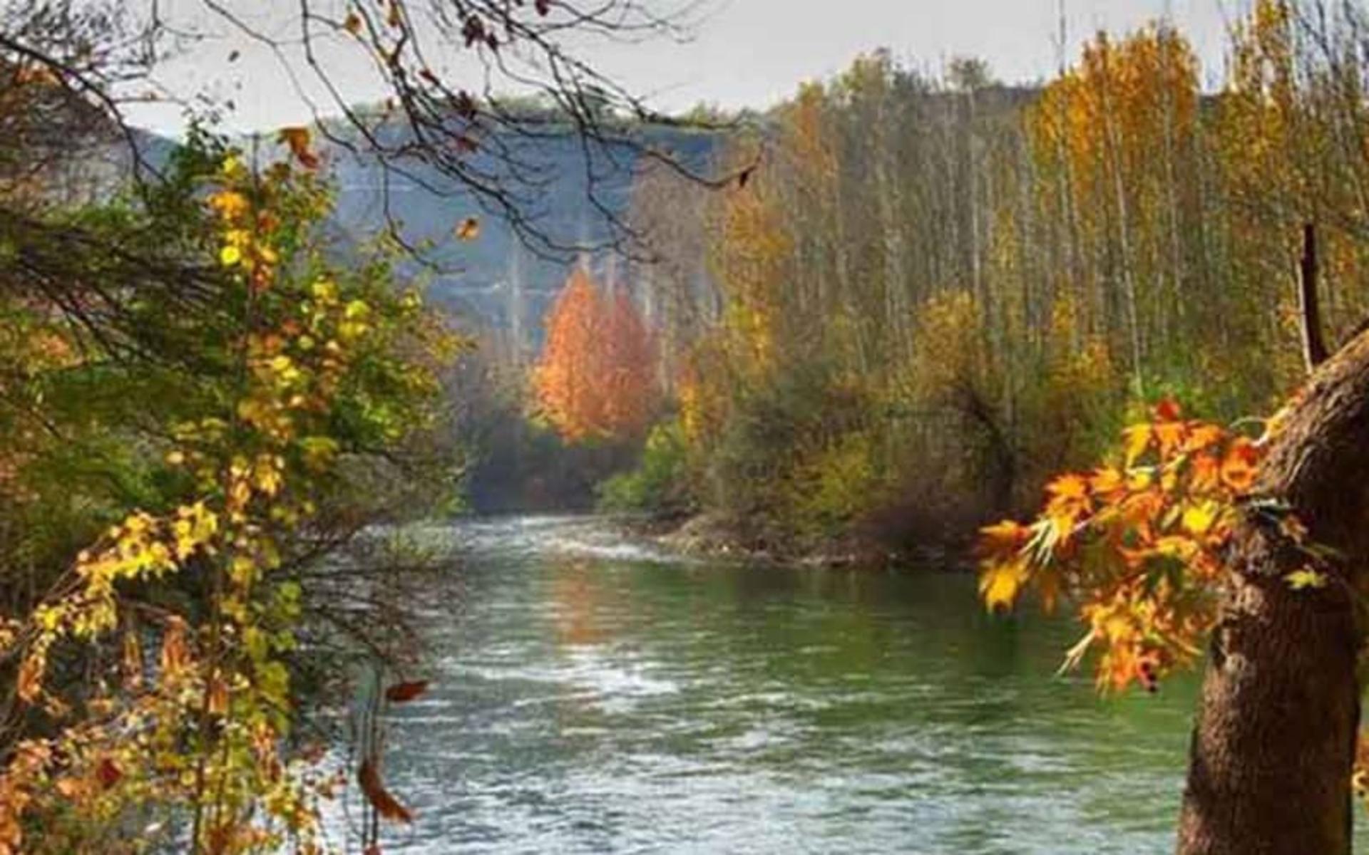رودخانه زاینده رود در میان دارودرخت باغ بهادران