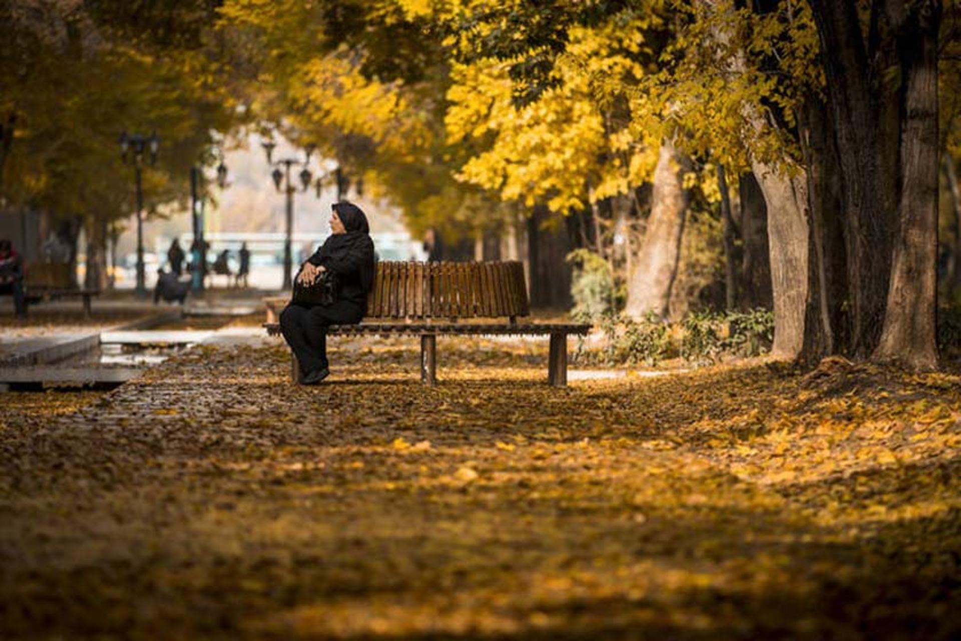 نیمکت‌های خیابان چهارباغ عباسی 