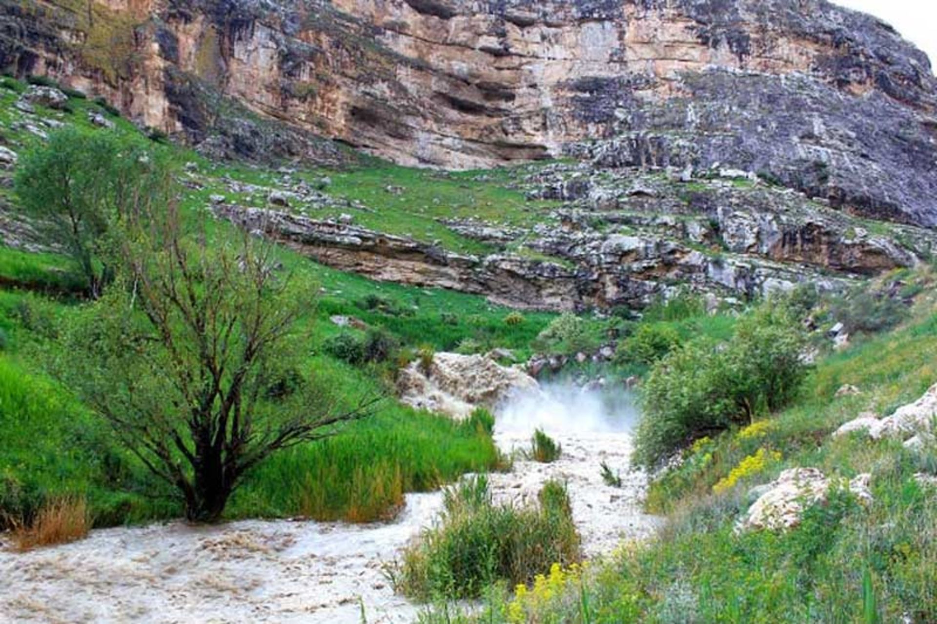 رودخانه و طبیعت سبز روستای رند ماکو