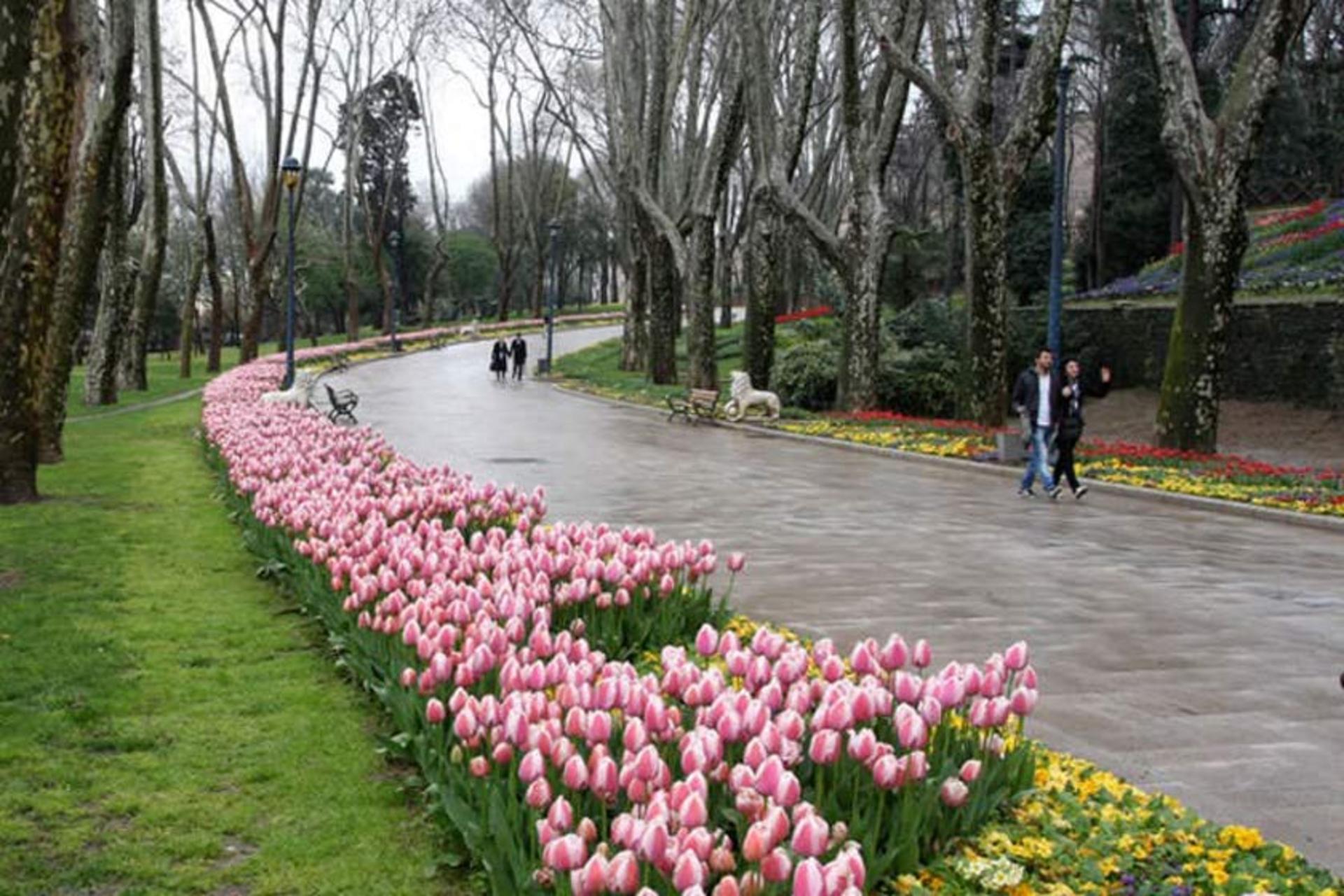 گل‌کاری‌های پارک گلخانه