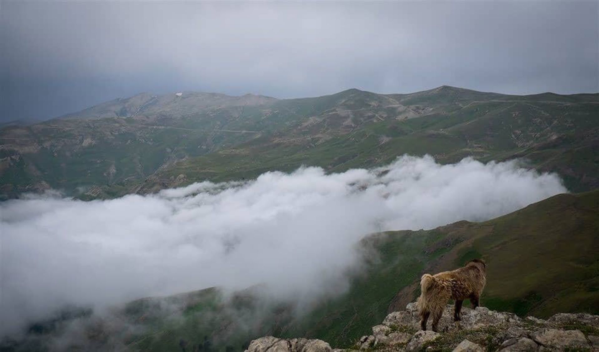 بر بلندای اقیانوس ابری اولسبلنگاه