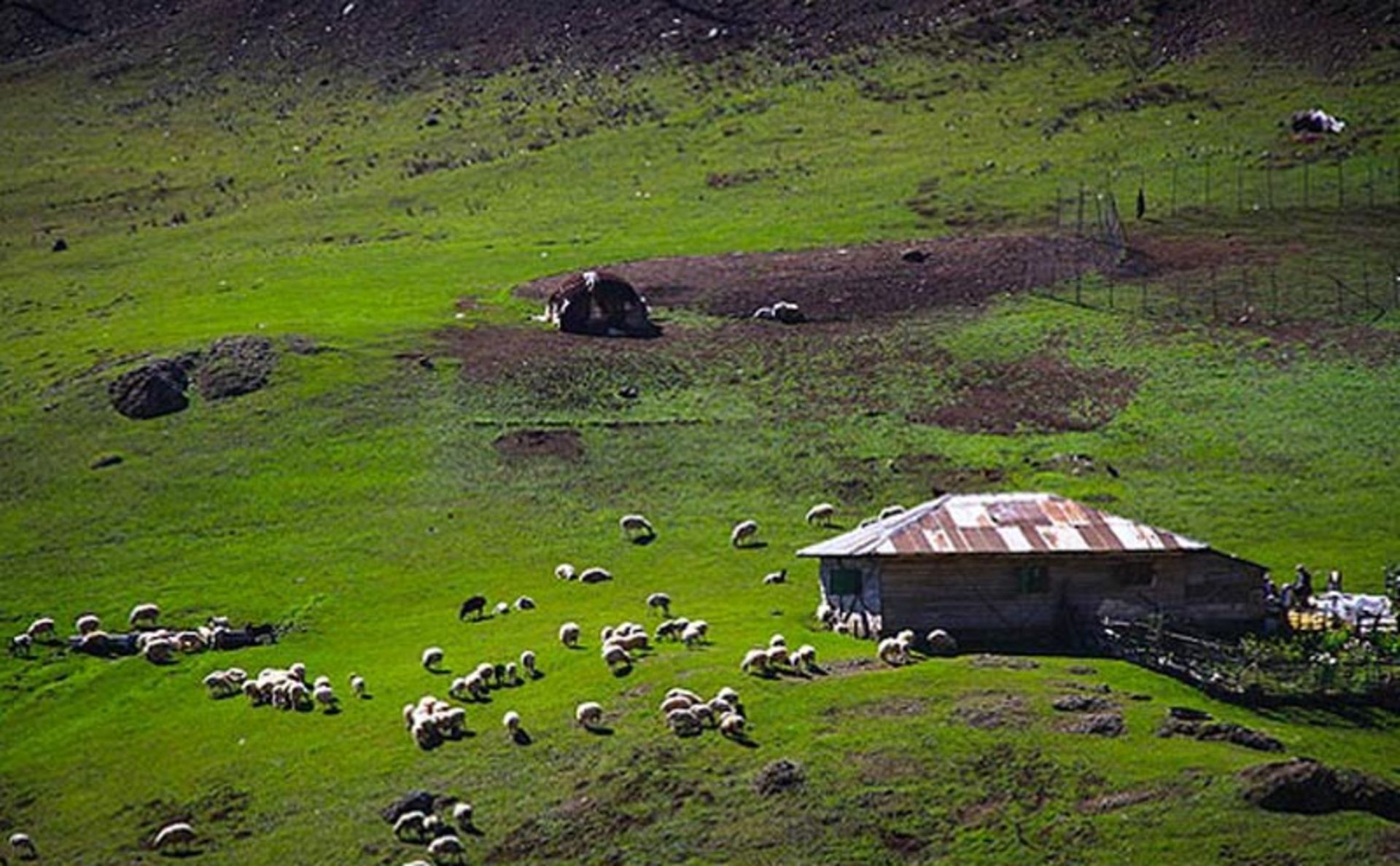 ییلاق های سرسبز در اطراف جاده اسالم به خلخال
