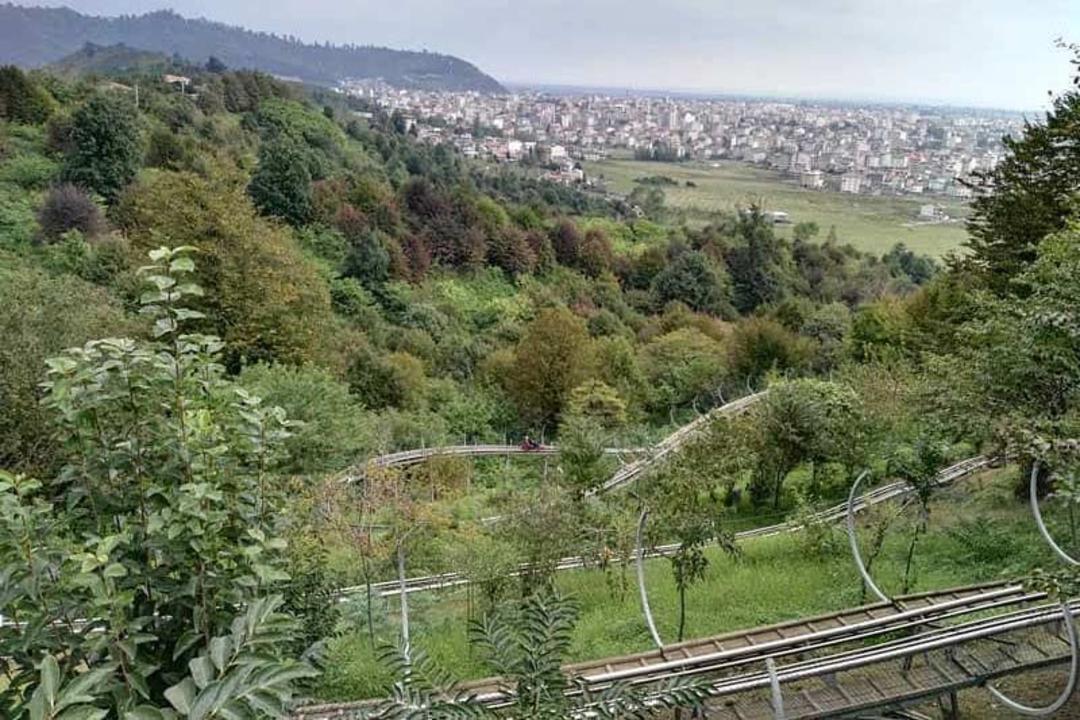 پارک جنگلی سیاه داران
