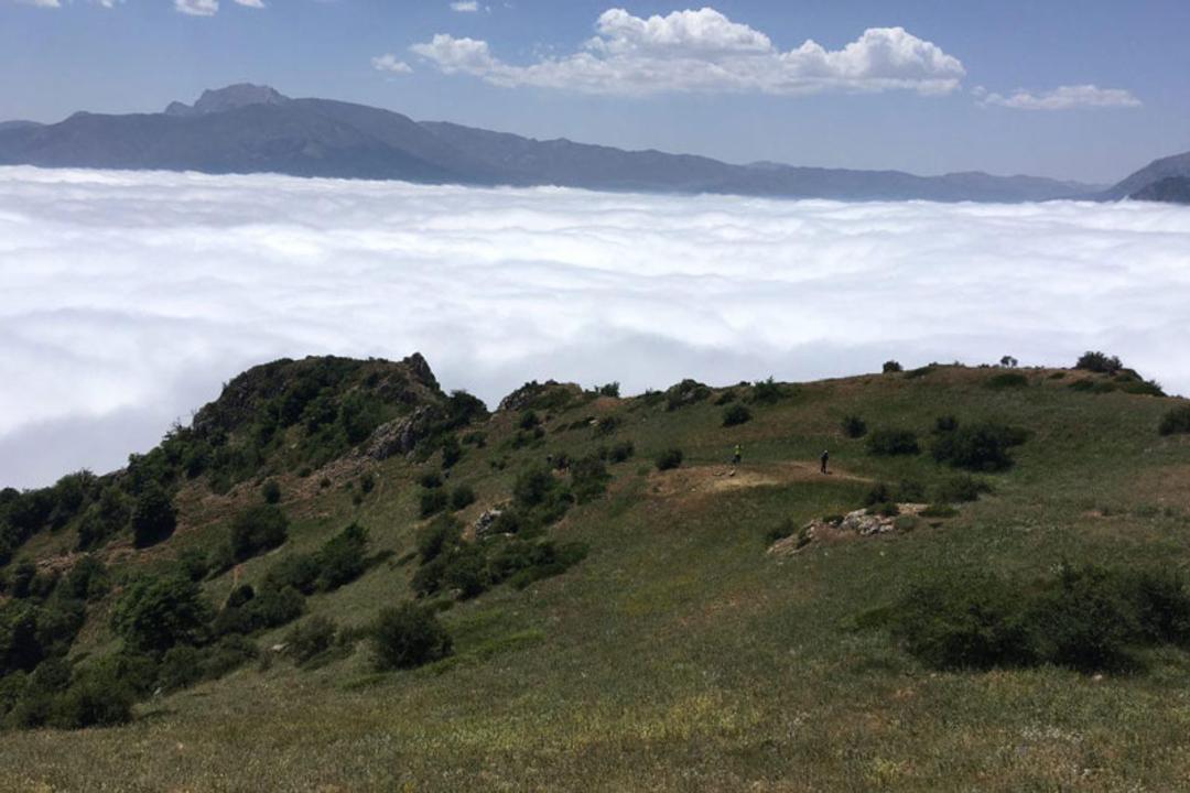 اقیانوس ابر در ارفع کوه