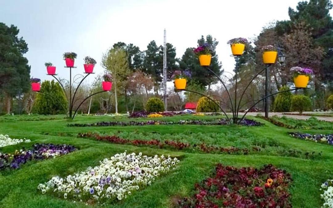 گلدانهای رنگی در فضای سرسبز پارک 