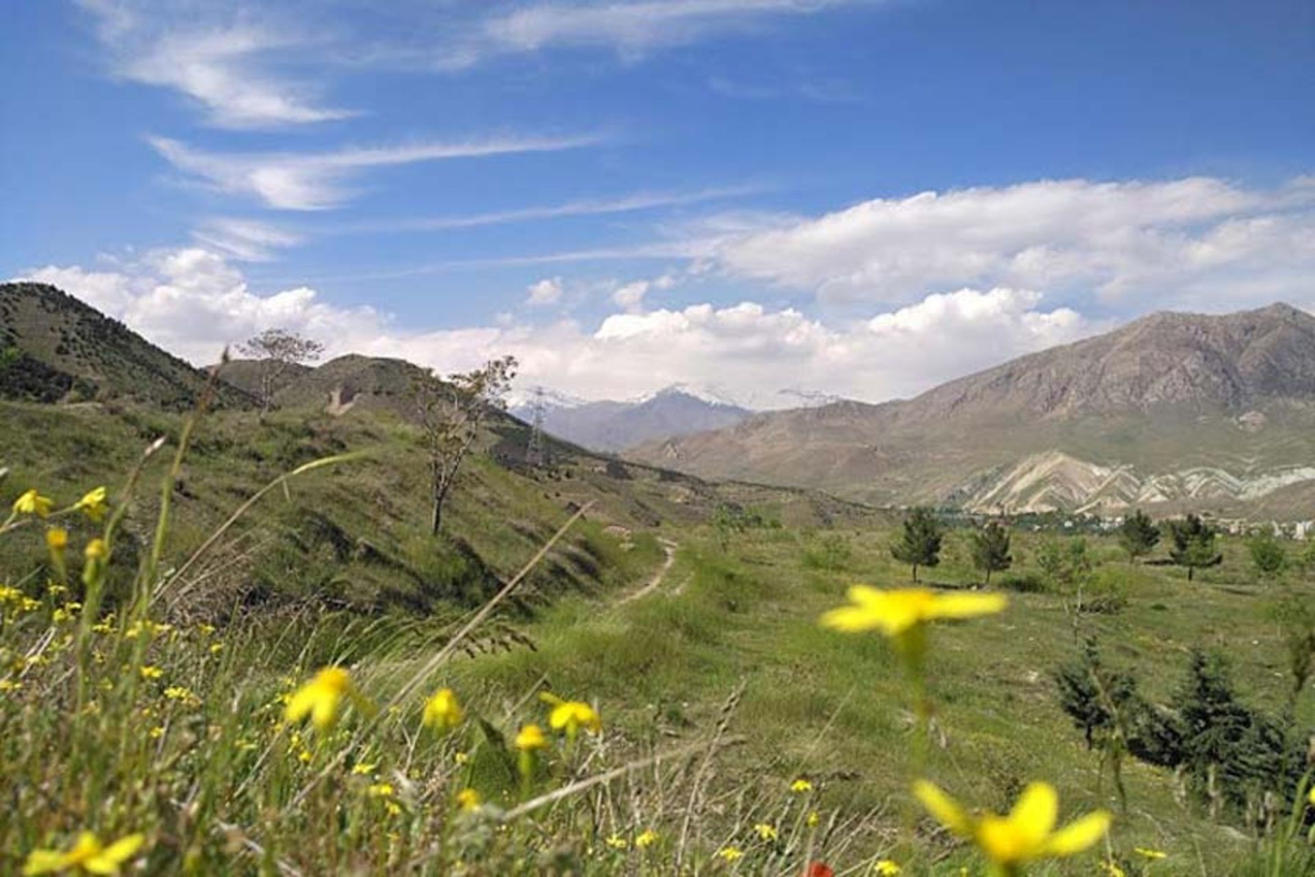 طبیعت منطقه حفاظت شده جاجرود