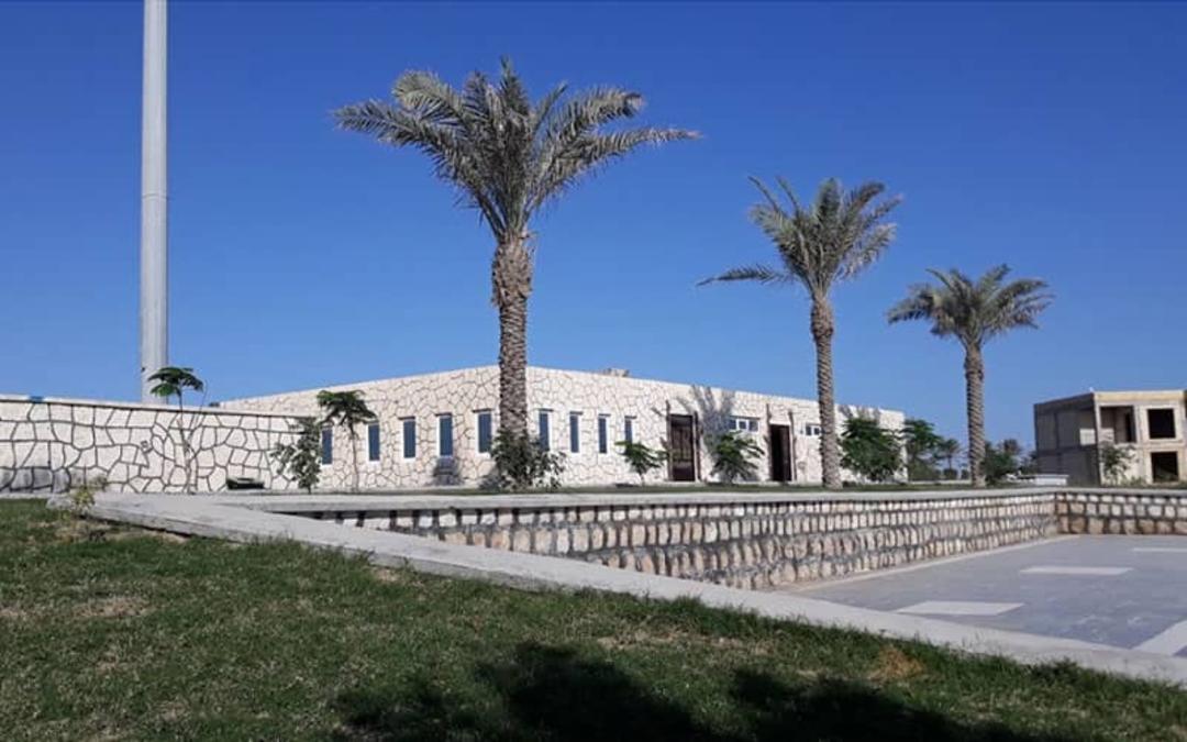 درختان نخل در پارک ساحلی آفتاب قشم