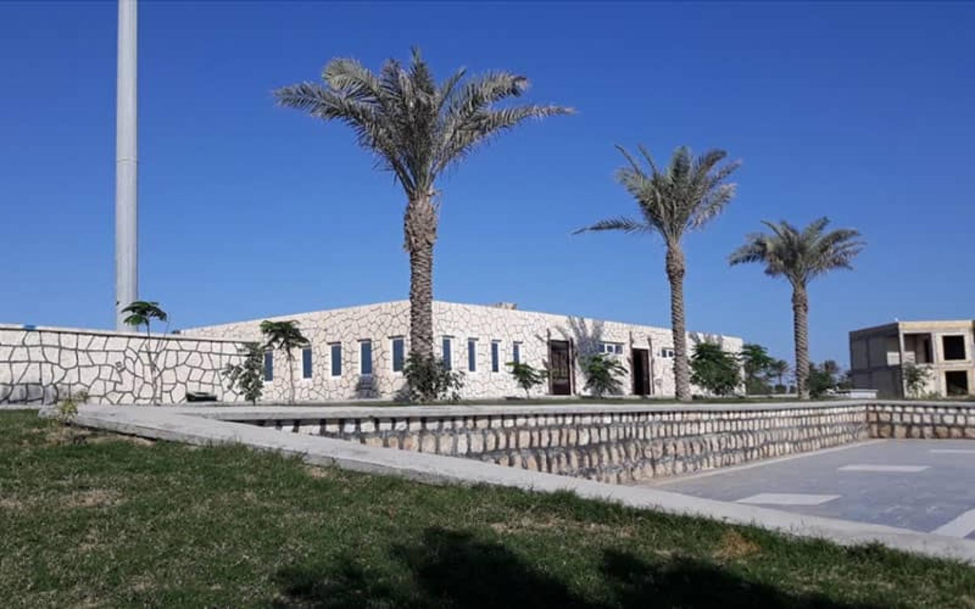 درختان نخل در پارک ساحلی آفتاب قشم