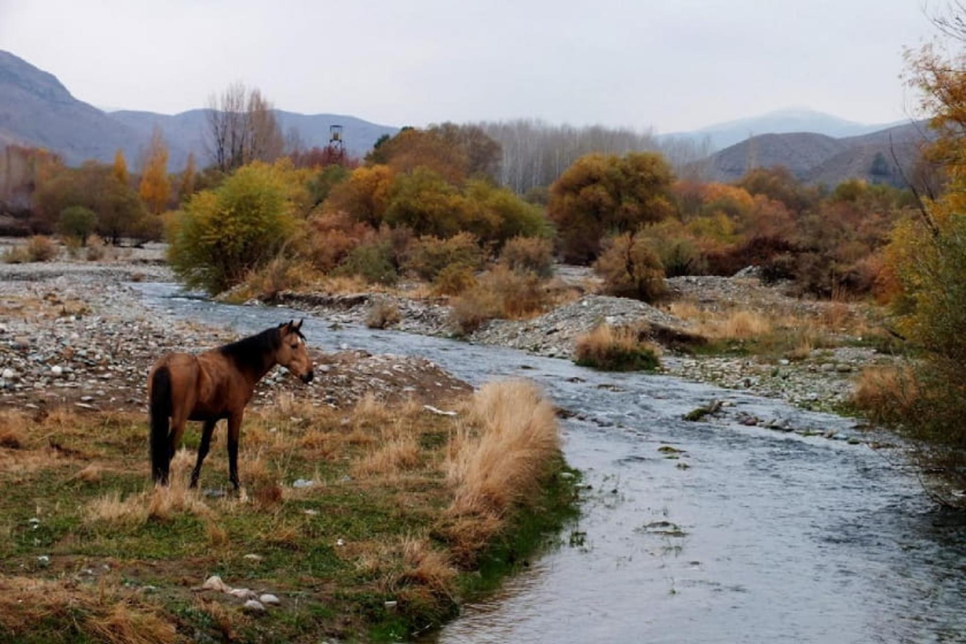 پارک های ملی ایران