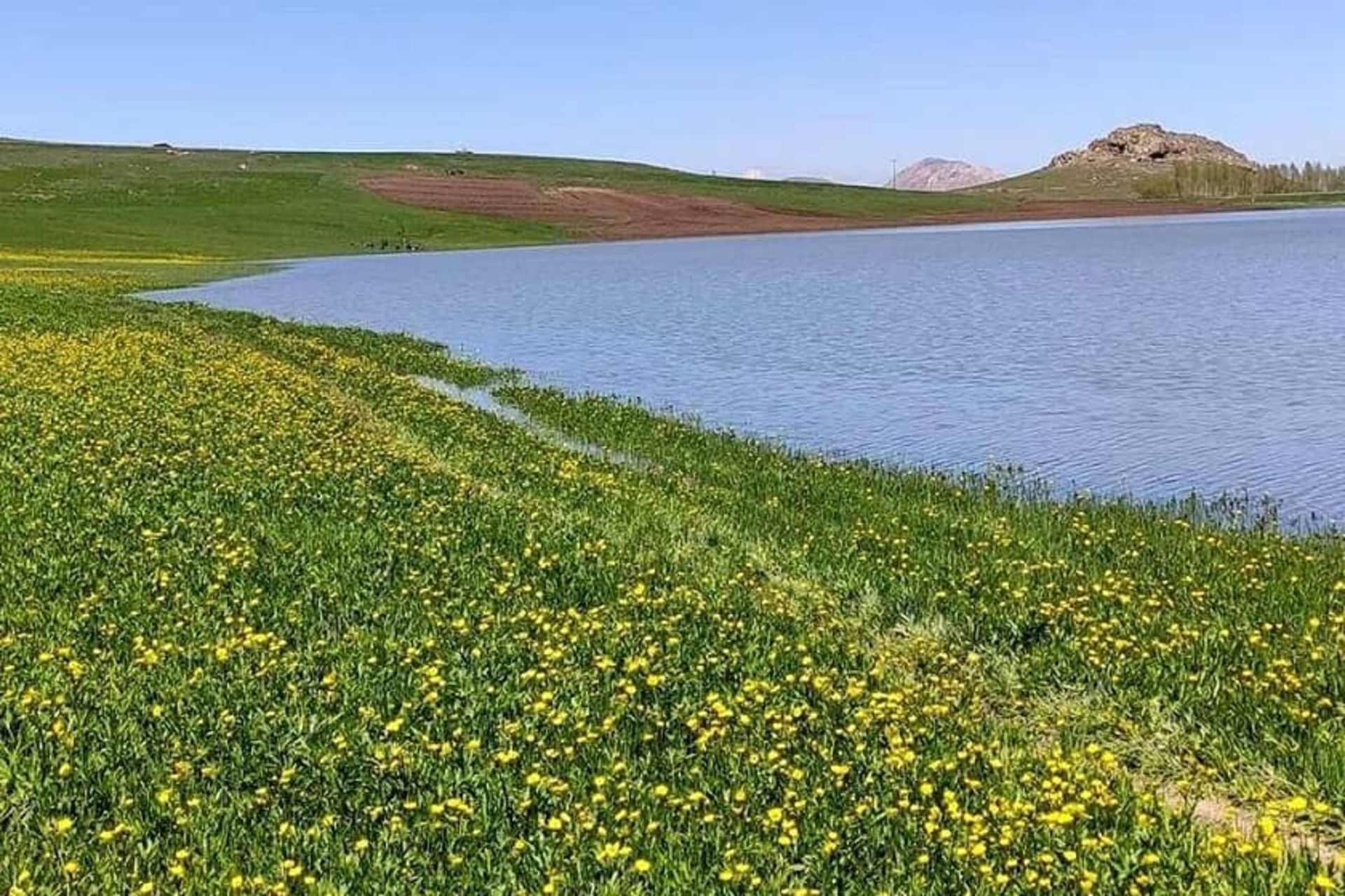 محیط زیست ایران