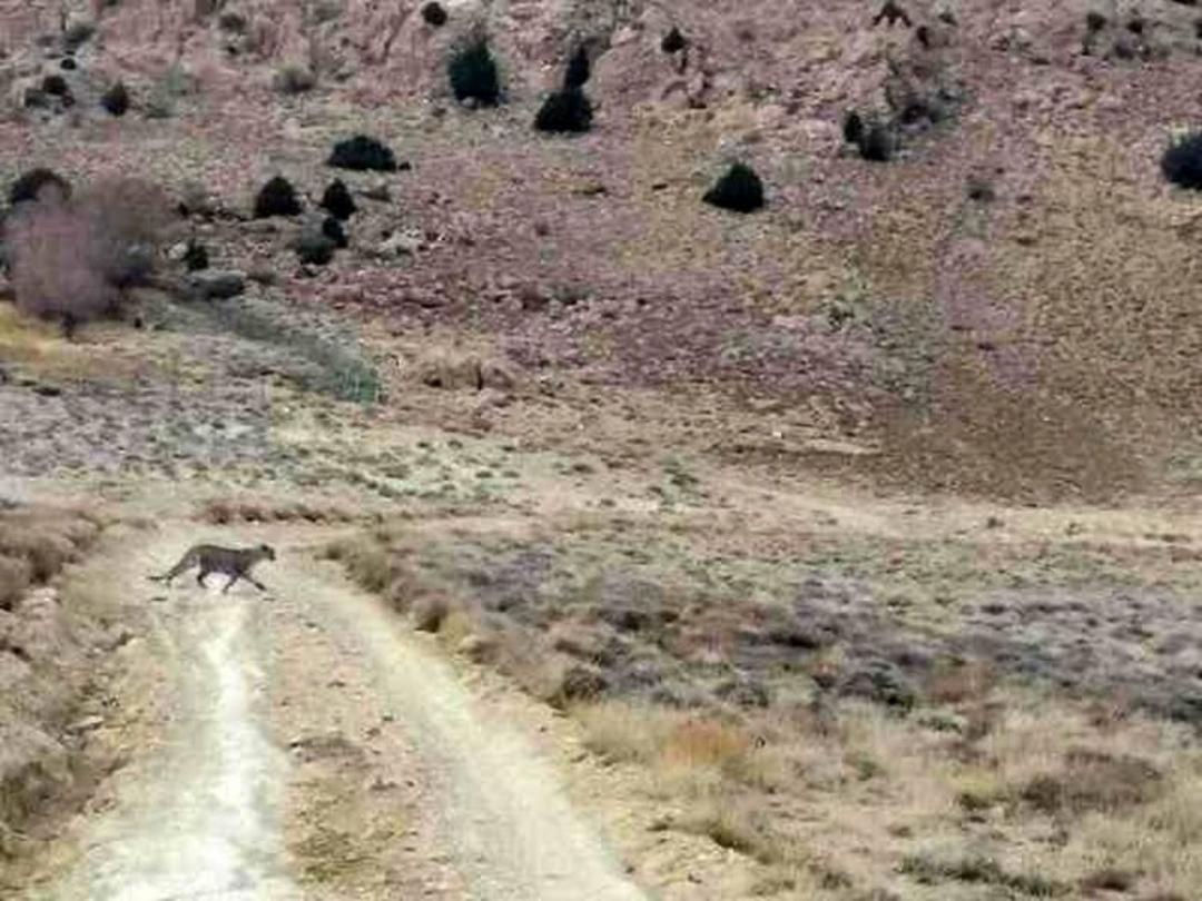 پارک ملی صیدوا