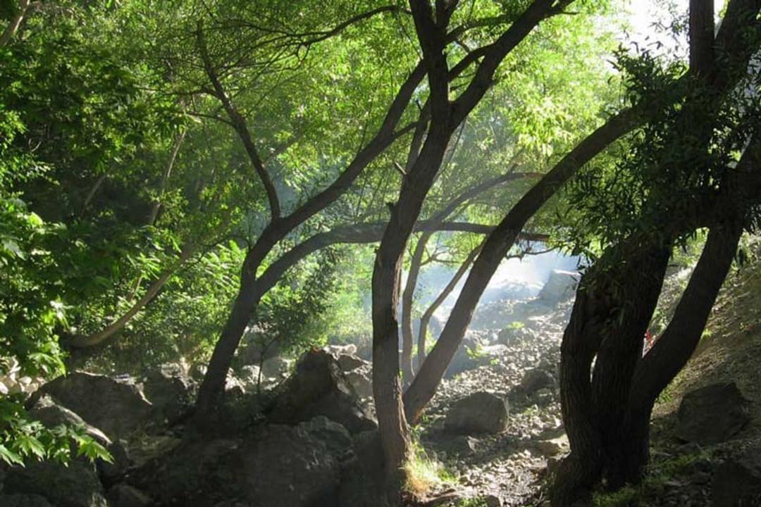 طبیعت گلابدره