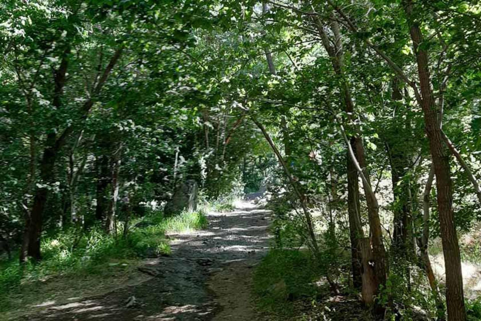 مسیرهای راهپیمایی گلابدره
