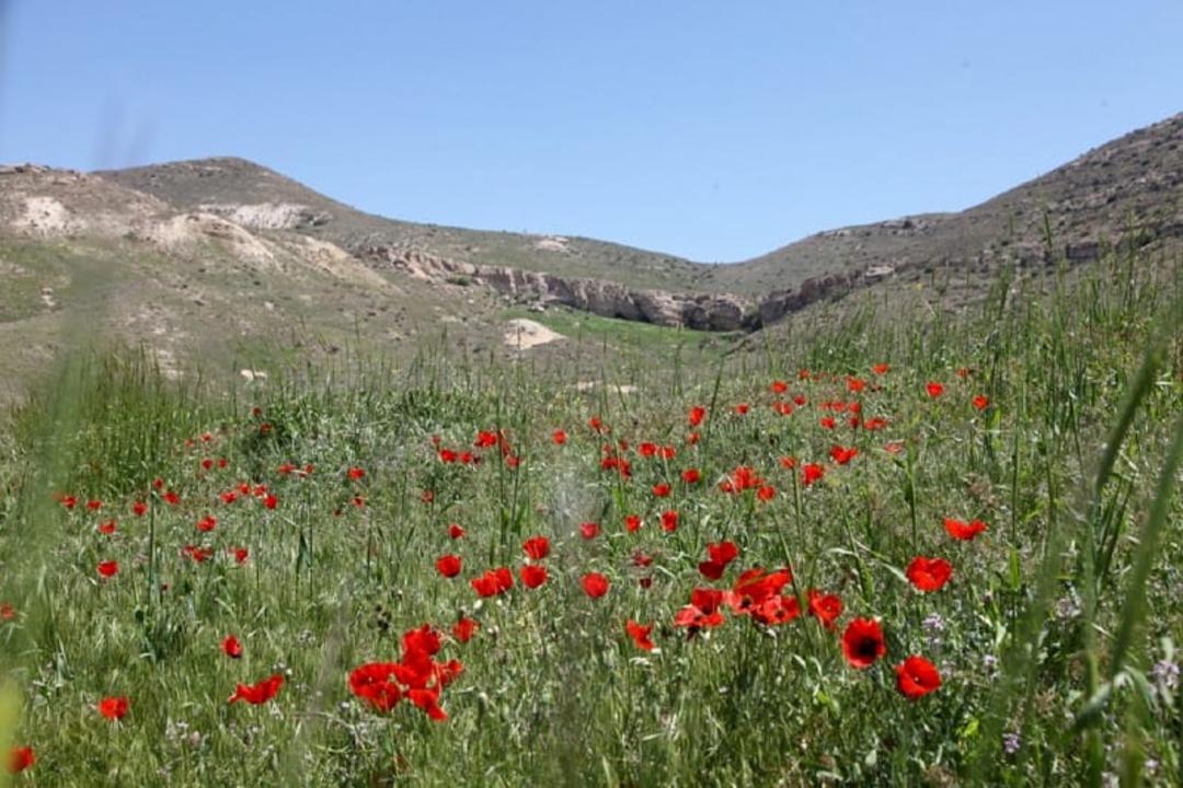اقلیم پارک ملی دریاچه ارومیه