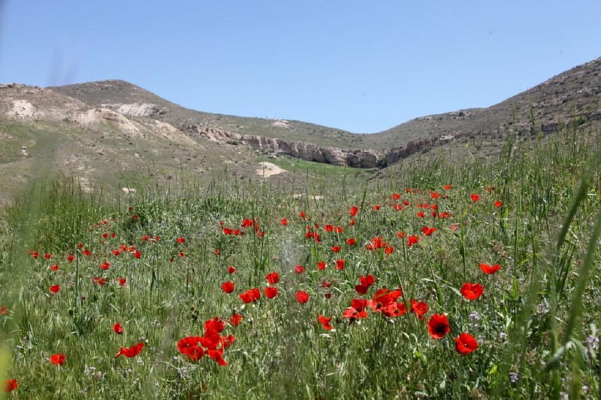 اقلیم پارک ملی دریاچه ارومیه