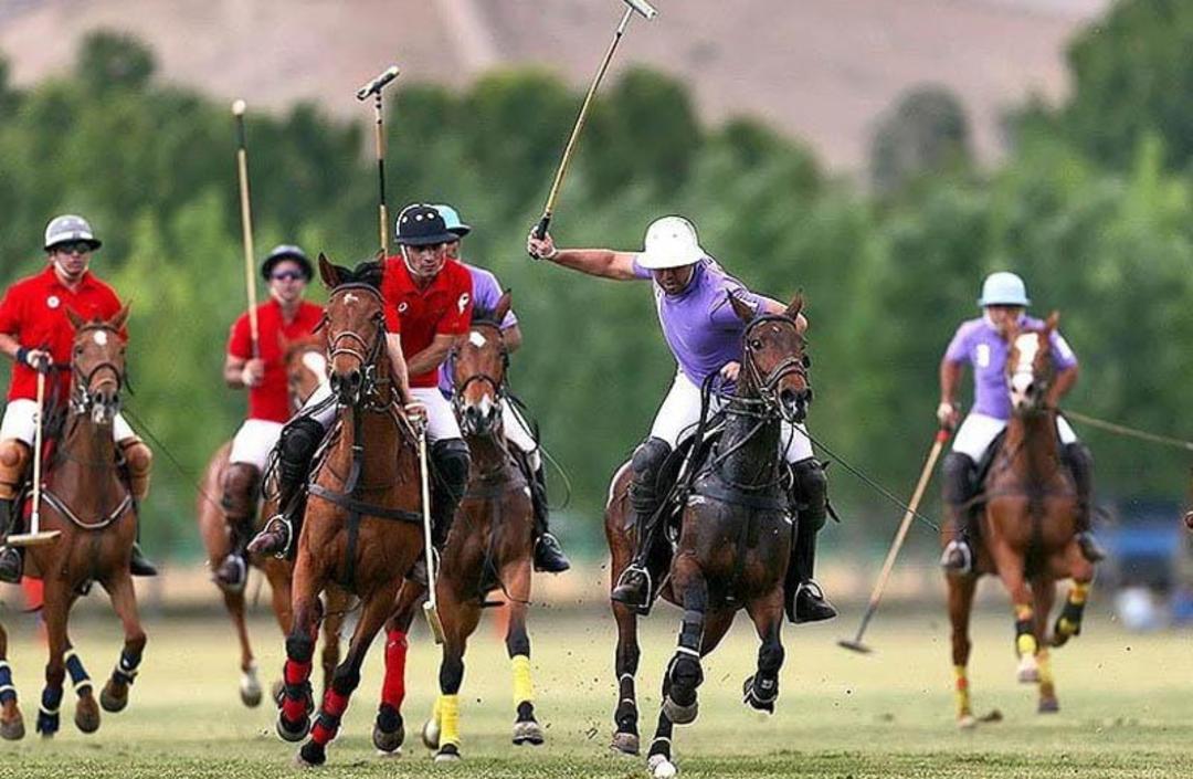 بازیکنان چوگان در حال ضربه زدن به توپ