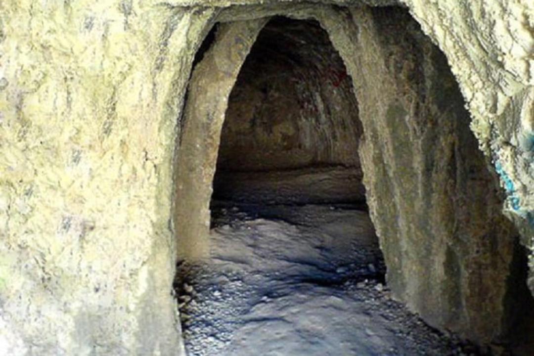 واردار