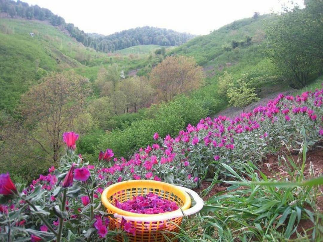بهترین زمان سفر به ییلاق اشکورات