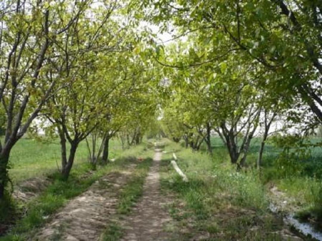 چشم انداز سرسبز روستای زرگر