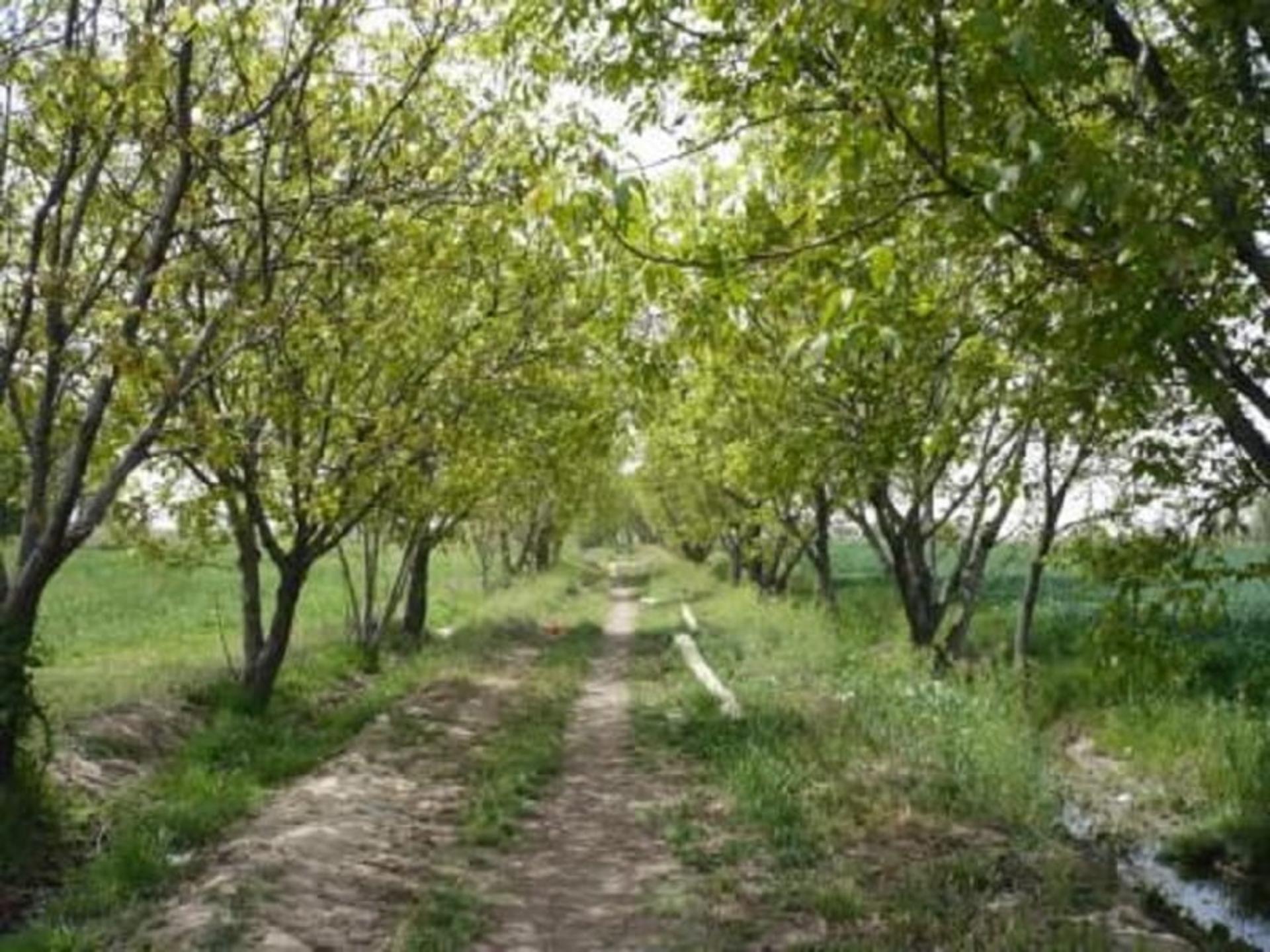 چشم انداز سرسبز روستای زرگر