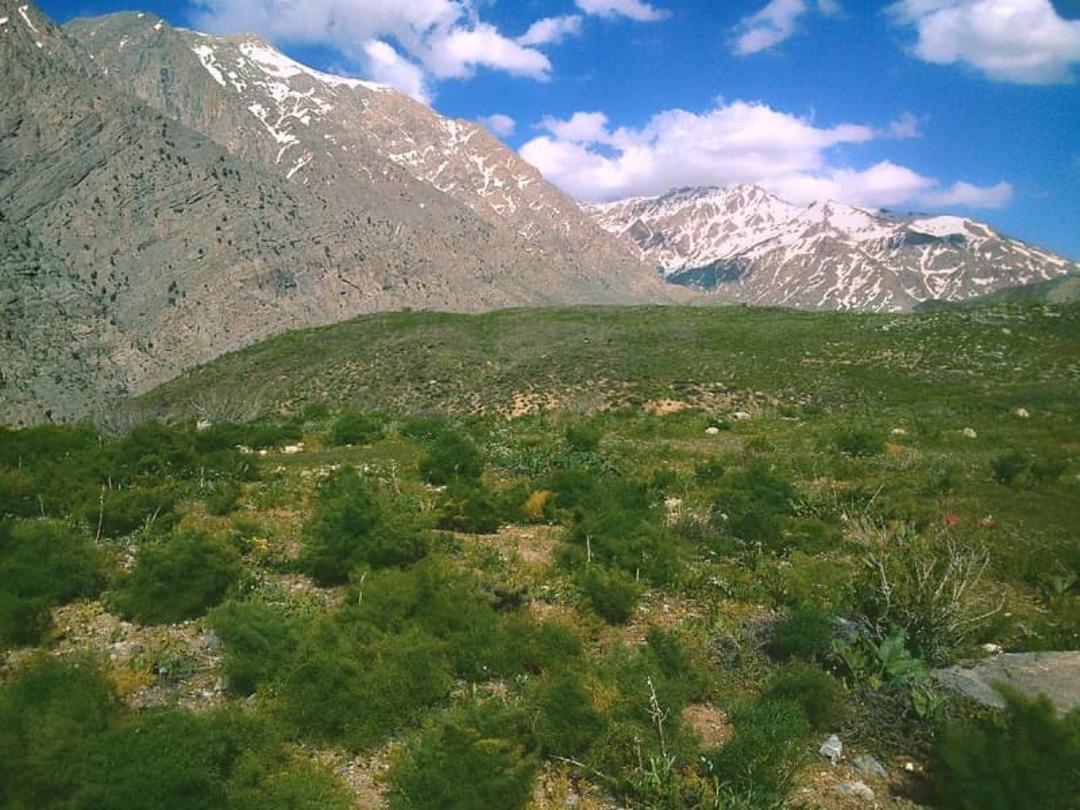 پارک ملی پابند