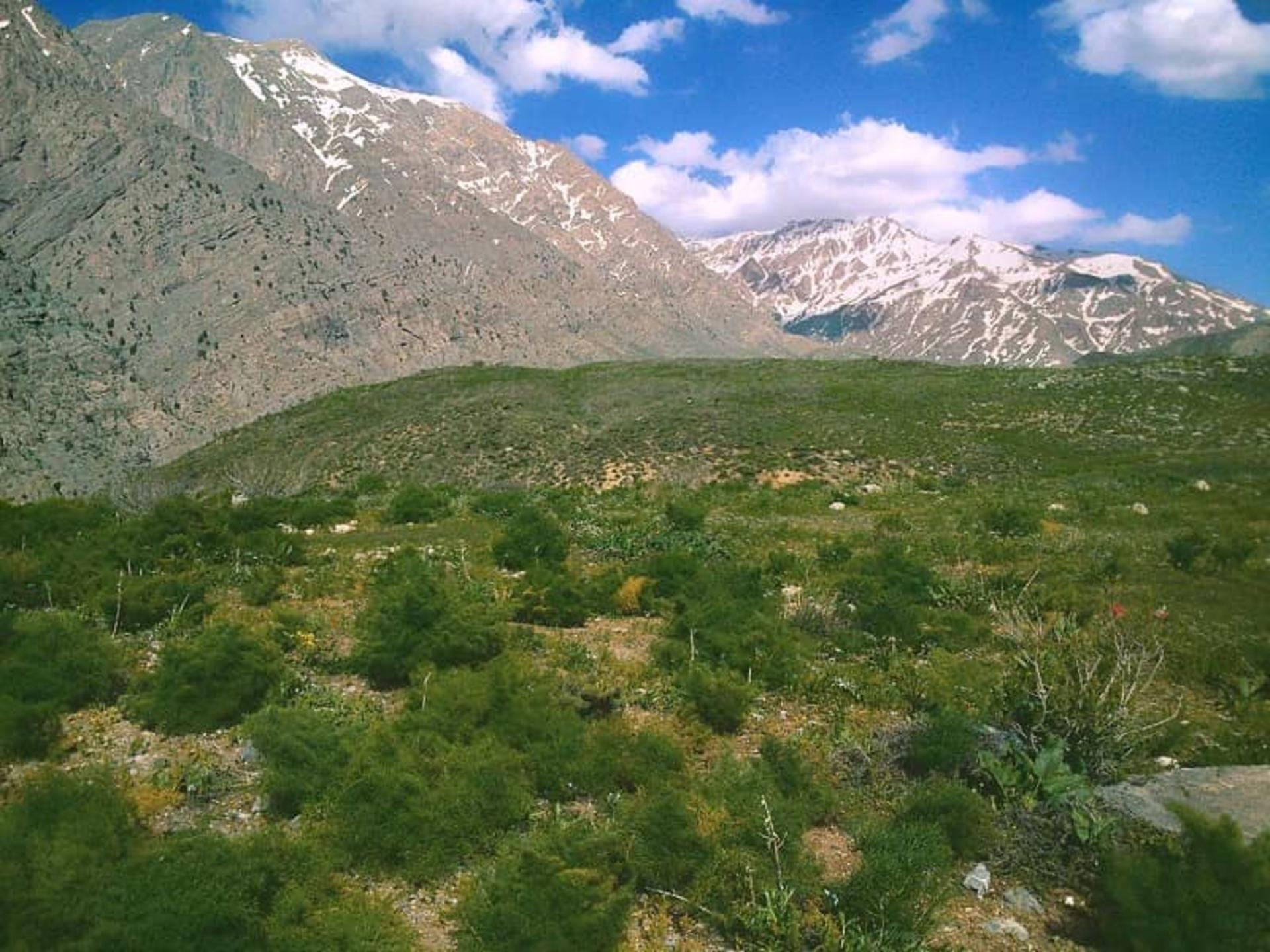 پارک ملی پابند
