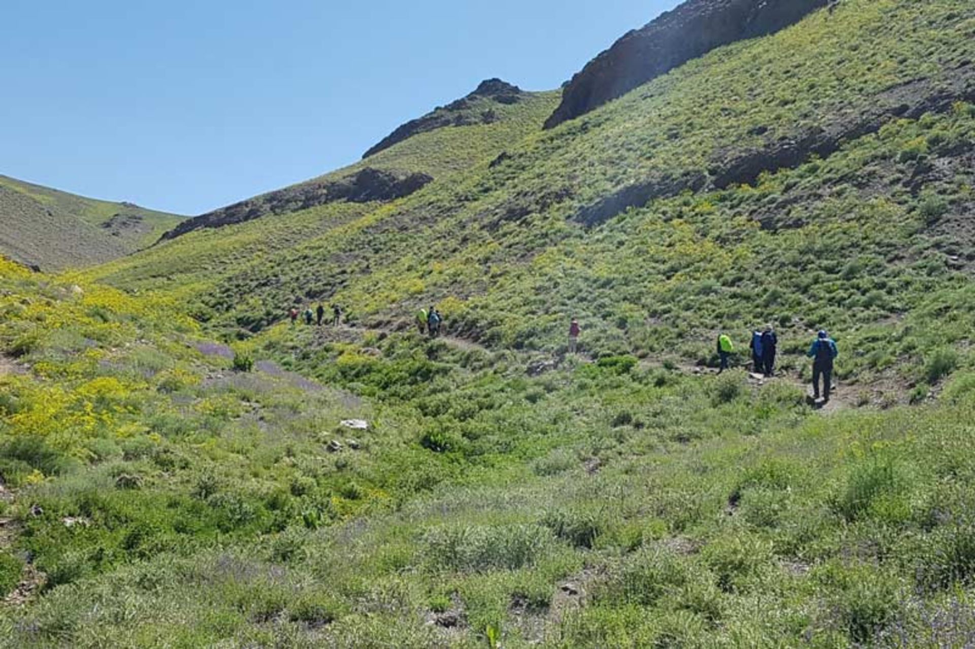 2021-6-6f6c74fb-1e3b-431a-9063-de79a5404578