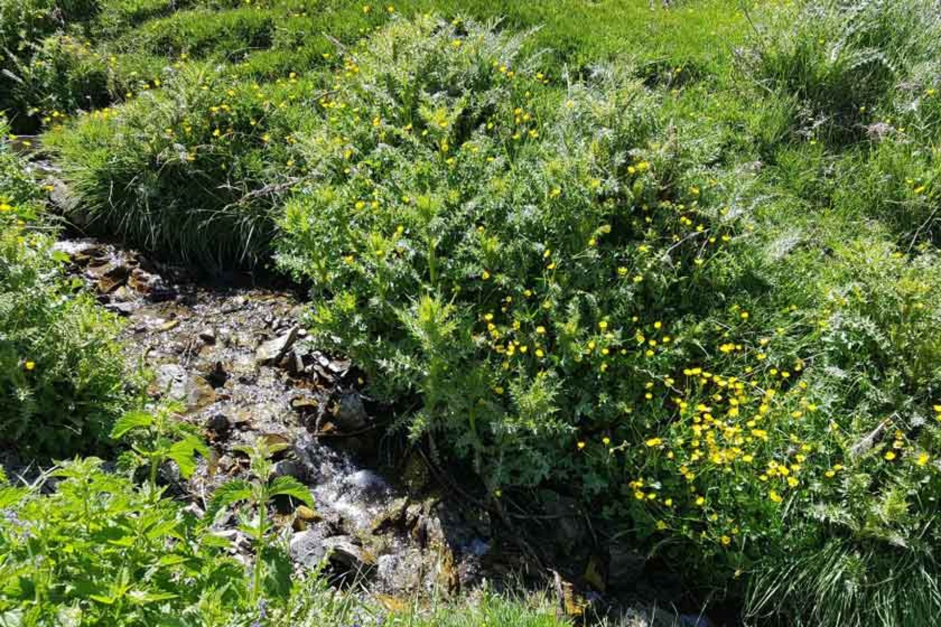 2021-6-83e00bb0-23a3-4b0d-b41a-6226b843c410